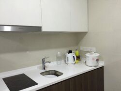 Riversound Residence (D19), Condominium #520500391
